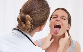 mandibula dentologies mandibula dentologies